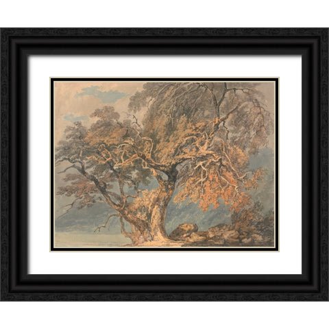 A Great Tree Black Ornate Wood Framed Art Print with Double Matting by Turner, William