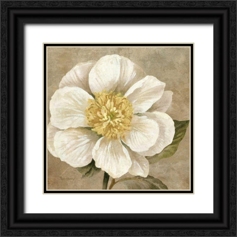Up Close Cream Rose Black Ornate Wood Framed Art Print with Double Matting by Gladding, Pamela