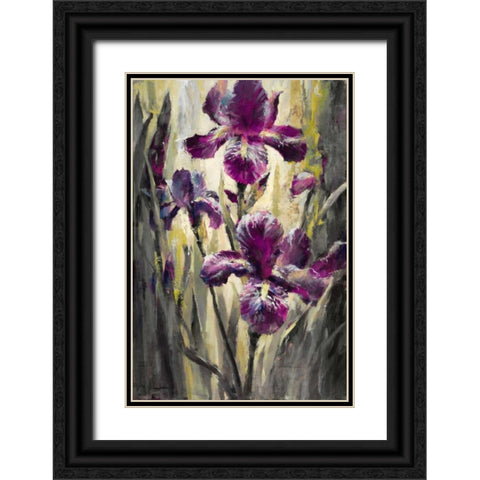 Ambient Iris 2 Black Ornate Wood Framed Art Print with Double Matting by Heighton, Brent