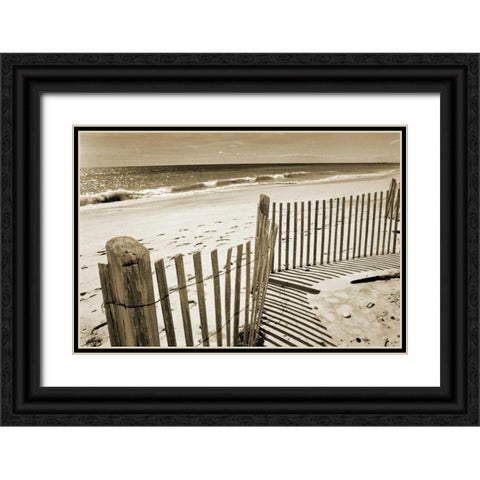 Beach Walk 1 Black Ornate Wood Framed Art Print with Double Matting by Amber Light Gallery