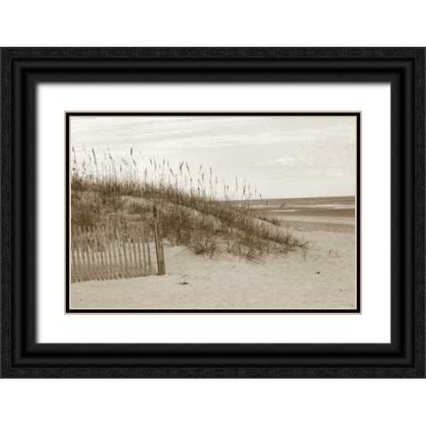 In the Dunes 1 Black Ornate Wood Framed Art Print with Double Matting by Amber Light Gallery