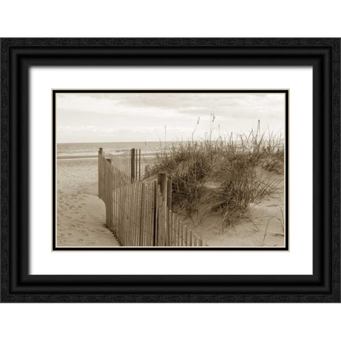In the Dunes 2 Black Ornate Wood Framed Art Print with Double Matting by Amber Light Gallery