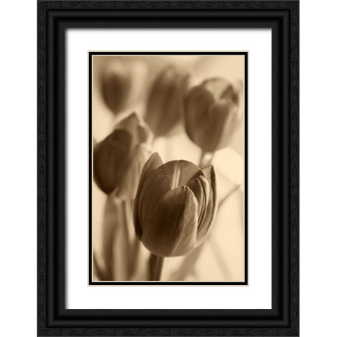Illuminated Tulips 1 Black Ornate Wood Framed Art Print with Double Matting by Amber Light Gallery
