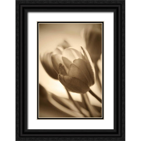 Illuminated Tulips 2 Black Ornate Wood Framed Art Print with Double Matting by Amber Light Gallery