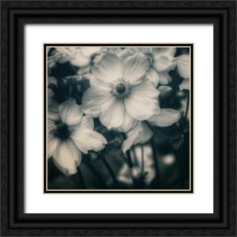 Blossoms At Dusk Black Ornate Wood Framed Art Print with Double Matting by Hoey, Linda