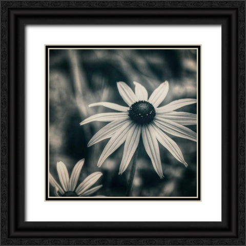 Garden At Dusk Black Ornate Wood Framed Art Print with Double Matting by Hoey, Linda