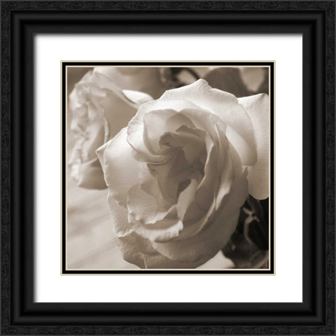 Sepia Rose 2 Black Ornate Wood Framed Art Print with Double Matting by Semenza, Marlana