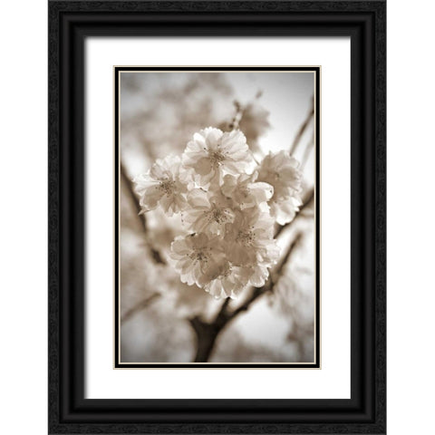 Blossom Twig 2 Black Ornate Wood Framed Art Print with Double Matting by Semenza, Marlana
