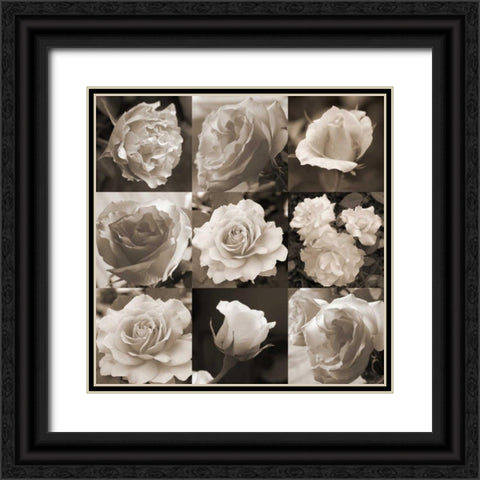 Rose Collection Black Ornate Wood Framed Art Print with Double Matting by Semenza, Marlana