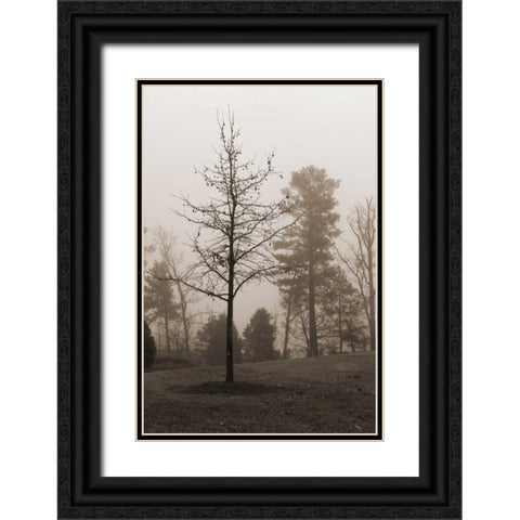 Evening Mist 1 Black Ornate Wood Framed Art Print with Double Matting by Sememza, Marlana