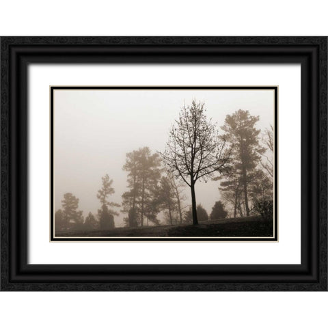 Evening Mist 2 Black Ornate Wood Framed Art Print with Double Matting by Sememza, Marlana