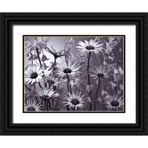 Meadow flowers Black Ornate Wood Framed Art Print with Double Matting by Frank, Assaf