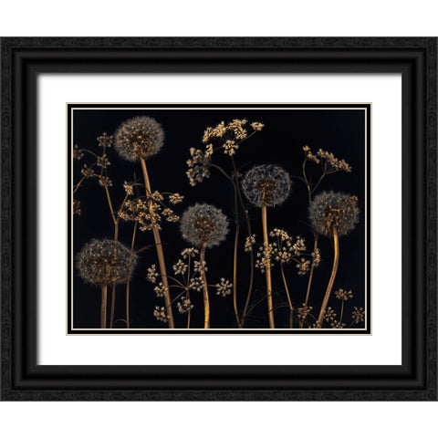 Meadow flowers Black Ornate Wood Framed Art Print with Double Matting by Frank, Assaf