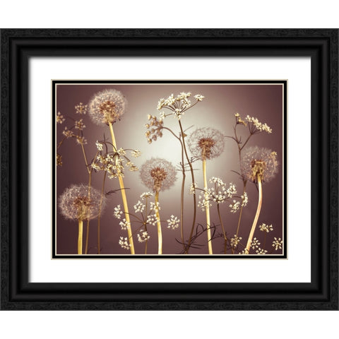 Meadow flowers Black Ornate Wood Framed Art Print with Double Matting by Frank, Assaf