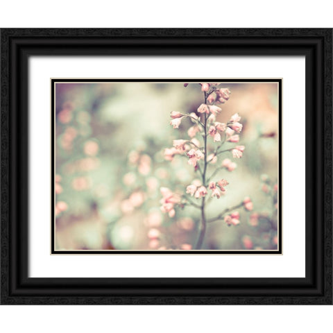 Flowering Heuchera Black Ornate Wood Framed Art Print with Double Matting by Frank, Assaf
