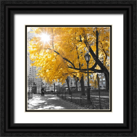 AF20131119 New York 1316C04 Black Ornate Wood Framed Art Print with Double Matting by Frank, Assaf