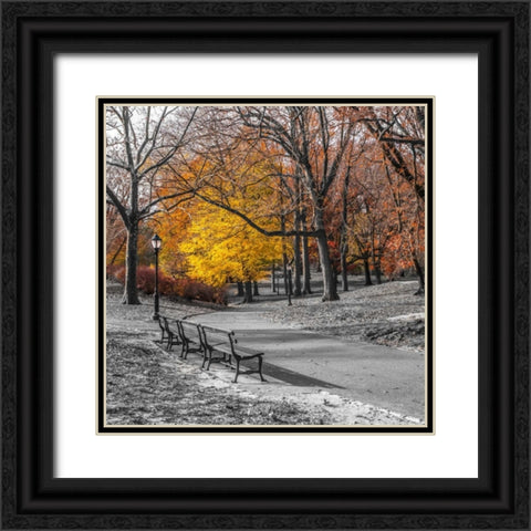 AF20131120 New York 1775C03 Black Ornate Wood Framed Art Print with Double Matting by Frank, Assaf