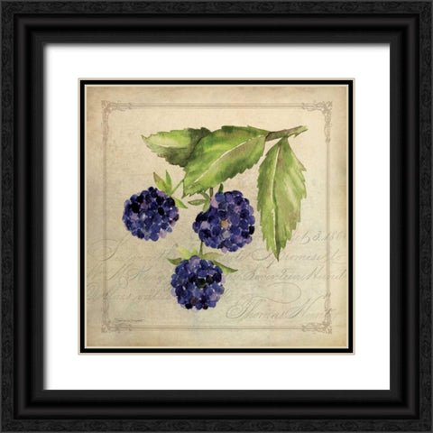 Blackberry Collage Black Ornate Wood Framed Art Print with Double Matting by Marrott, Stephanie