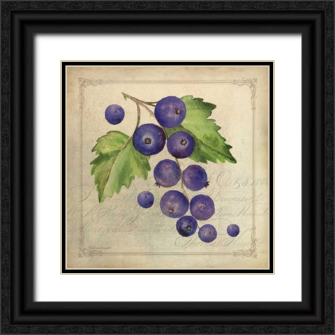 Blueberry Collage Black Ornate Wood Framed Art Print with Double Matting by Marrott, Stephanie