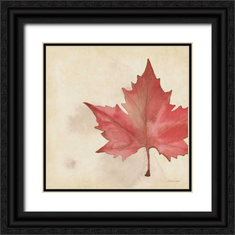 Maple In Fall Black Ornate Wood Framed Art Print with Double Matting by Marrott, Stephanie