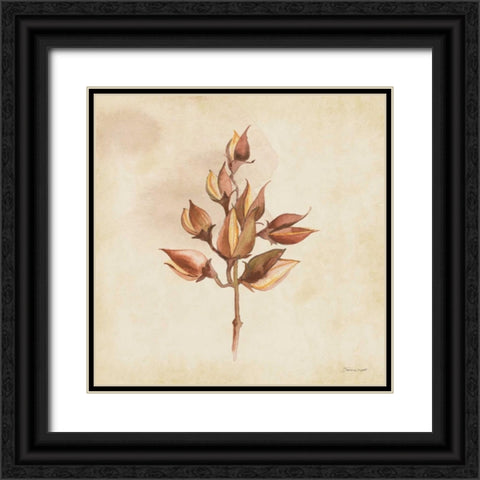 Seeds In Fall Black Ornate Wood Framed Art Print with Double Matting by Marrott, Stephanie