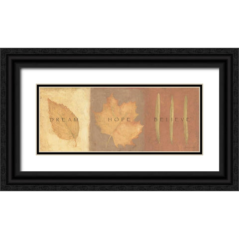 Dream Hope Believe Black Ornate Wood Framed Art Print with Double Matting by Marrott, Stephanie