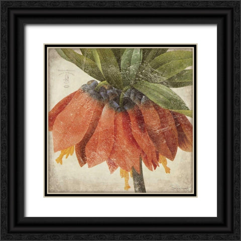Orange Flower Black Ornate Wood Framed Art Print with Double Matting by Marrott, Stephanie