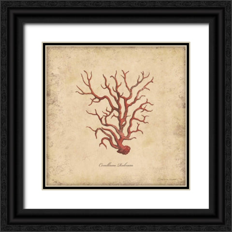 Shells I Black Ornate Wood Framed Art Print with Double Matting by Marrott, Stephanie
