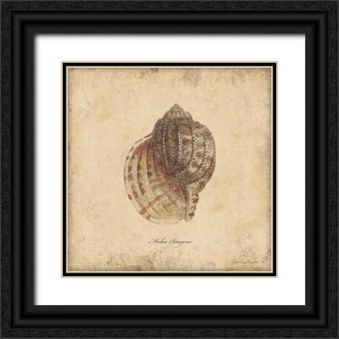 Shells IV Black Ornate Wood Framed Art Print with Double Matting by Marrott, Stephanie