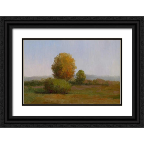 Tree in the Sun II Black Ornate Wood Framed Art Print with Double Matting by Chin, Art