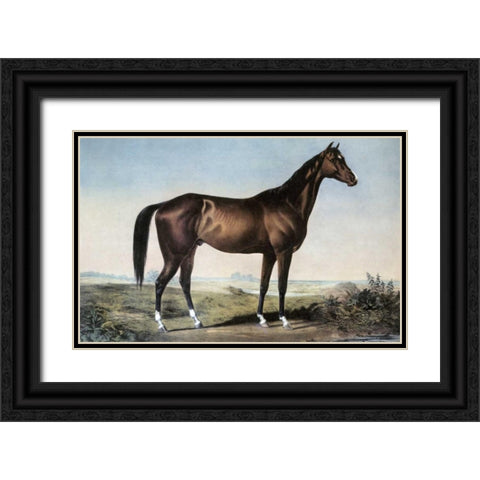 Celebrated Horse Lexington Black Ornate Wood Framed Art Print with Double Matting by Currier and Ives