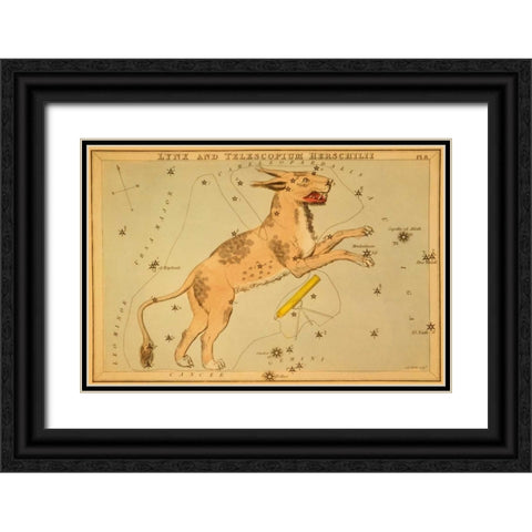 Lynx and Telescopium Herschilii, 1825 Black Ornate Wood Framed Art Print with Double Matting by Aspin, Jehoshaphat
