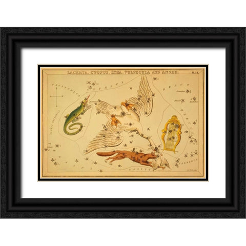 Lacerta, Cygnus, Lyra, Vulpecula and Anser, 1825 Black Ornate Wood Framed Art Print with Double Matting by Aspin, Jehoshaphat