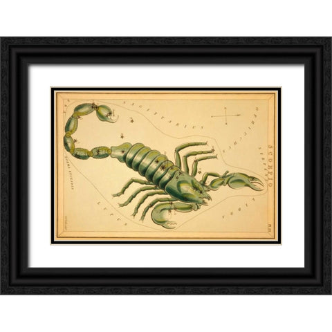 Scorpio, 1825 Black Ornate Wood Framed Art Print with Double Matting by Aspin, Jehoshaphat
