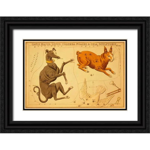 Canis Major, Lepus, Columba Noachi and Cela Sculptoris, 1825 Black Ornate Wood Framed Art Print with Double Matting by Aspin, Jehoshaphat