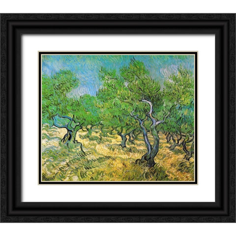 Olive Grove Black Ornate Wood Framed Art Print with Double Matting by Van Gogh, Vincent