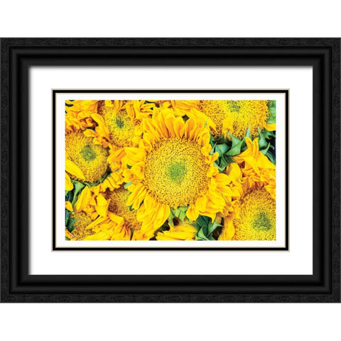 Fall Feels I Black Ornate Wood Framed Art Print with Double Matting by Quillen, Donnie