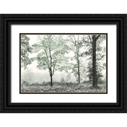 Three Trees Black Ornate Wood Framed Art Print with Double Matting by Deiter, Lori