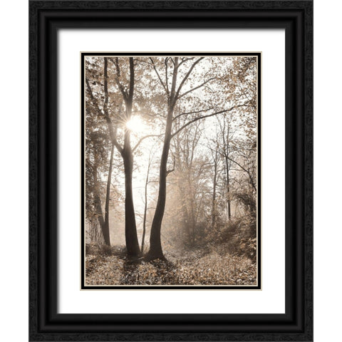 Woodland Sunrise Black Ornate Wood Framed Art Print with Double Matting by Deiter, Lori