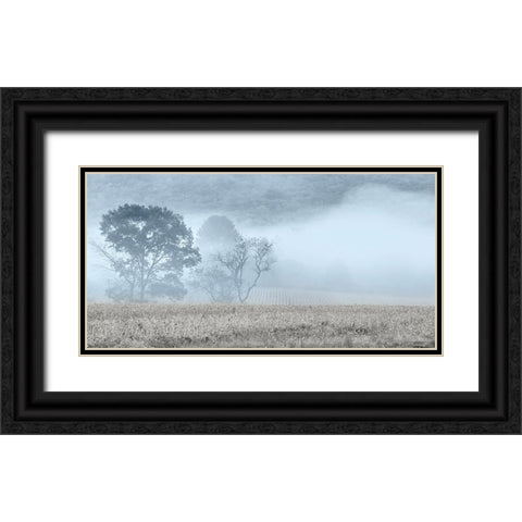 Blue Misty Morning Black Ornate Wood Framed Art Print with Double Matting by Deiter, Lori