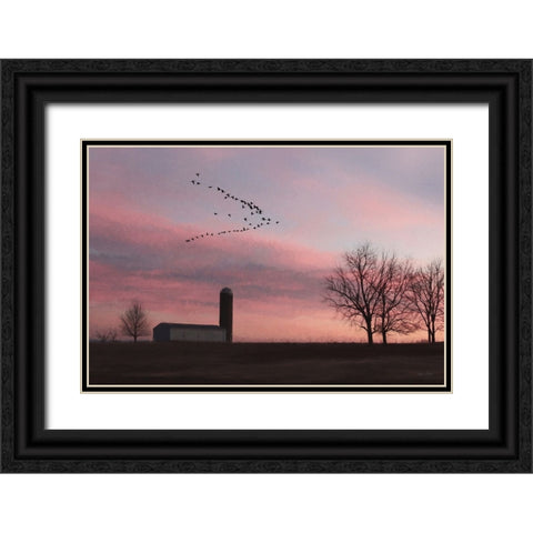 Spring Migration of Snow Geese Black Ornate Wood Framed Art Print with Double Matting by Deiter, Lori