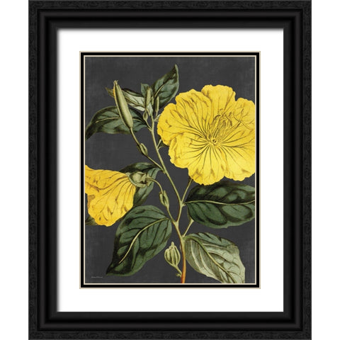 Yellow Vine Black Ornate Wood Framed Art Print with Double Matting by Lettered and Lined