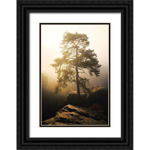 On the Edge of Glory Black Ornate Wood Framed Art Print with Double Matting by Podt, Martin