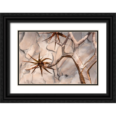 Africa-Namibia-Quiver tree and bark photo montage Black Ornate Wood Framed Art Print with Double Matting by Jaynes Gallery
