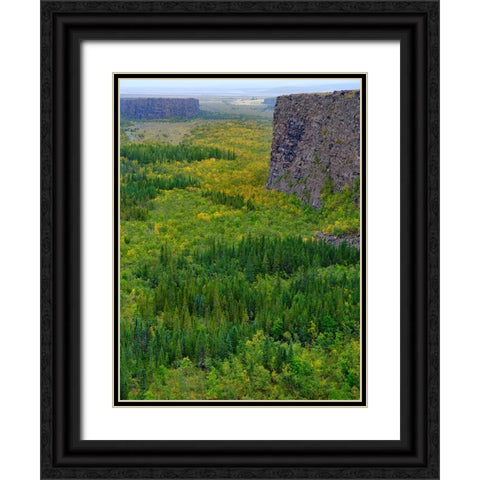 Asbyrgi canyon in Vatnajokull National Park-Iceland Black Ornate Wood Framed Art Print with Double Matting by Zwick, Martin