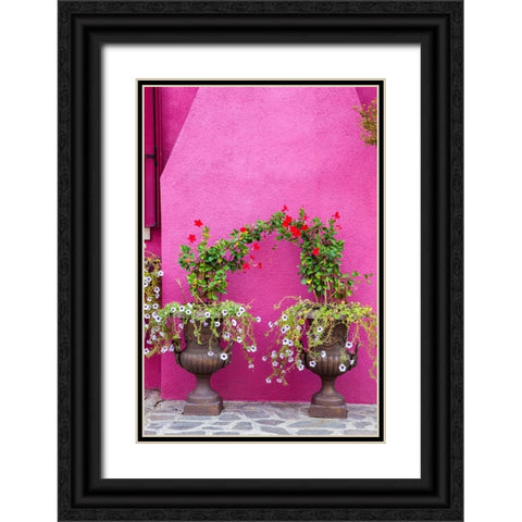 Italy-Venice-Burano Island Urns planted with flowers against a bright pink wall on Burano Island Black Ornate Wood Framed Art Print with Double Matting by Eggers, Julie