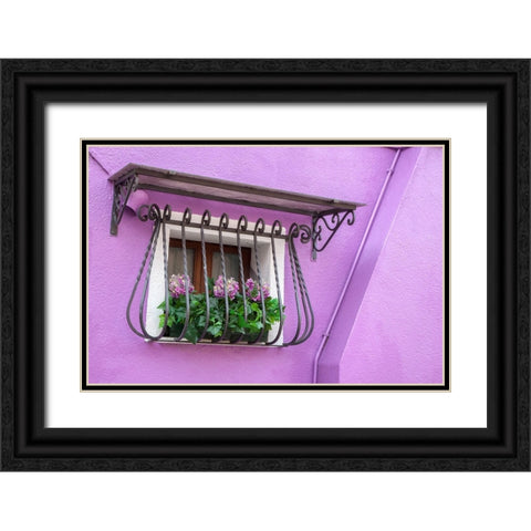 Italy-Venice-Burano Island Potted hydrangeas on a window sill of a lavender house Black Ornate Wood Framed Art Print with Double Matting by Eggers, Julie