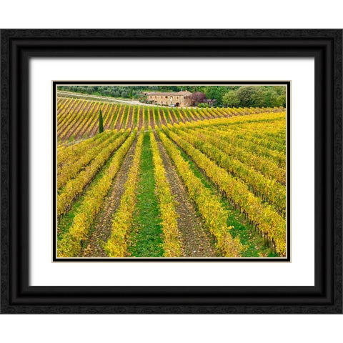 Italy-Tuscany Colorful vineyard in autumn Black Ornate Wood Framed Art Print with Double Matting by Eggers, Julie