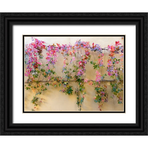 Italy-Tuscany-Pienza Colorful vines hanging on a wall along the streets Black Ornate Wood Framed Art Print with Double Matting by Eggers, Julie