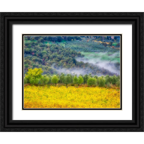 Italy-Tuscany Autumn morning with fog in the Tuscan valley Black Ornate Wood Framed Art Print with Double Matting by Eggers, Julie